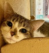 Fiona - Photo 2