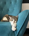 Fiona - Photo 2