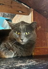 Polly - Photo 1