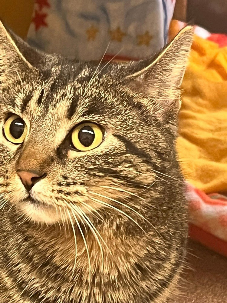 Lovely Rita Image