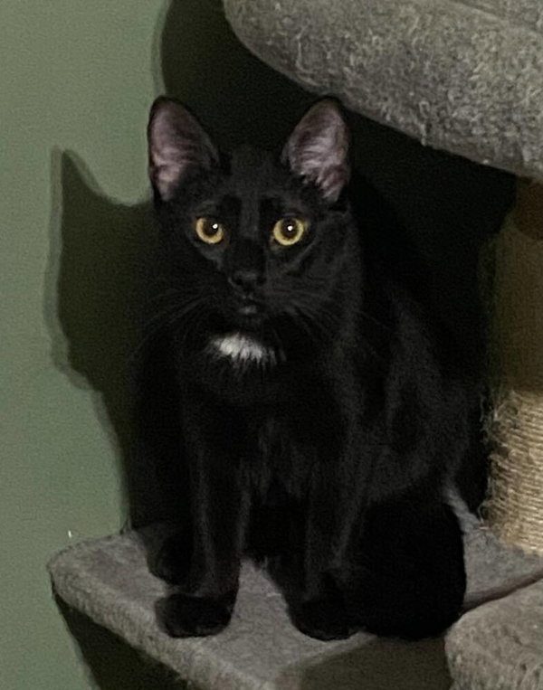 Luna