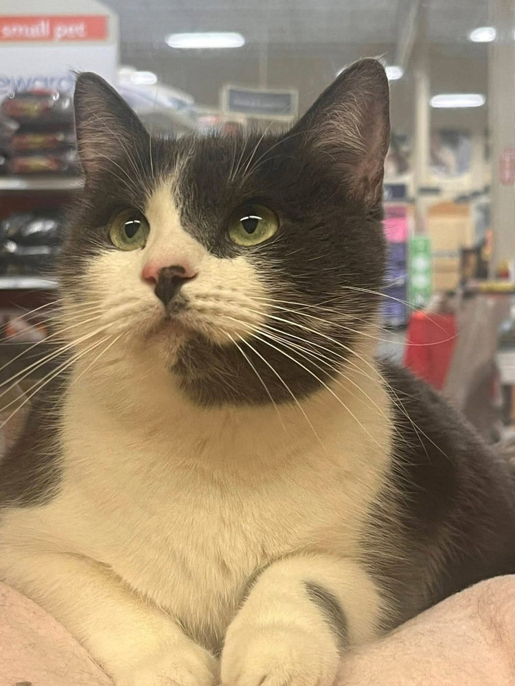 Rosie