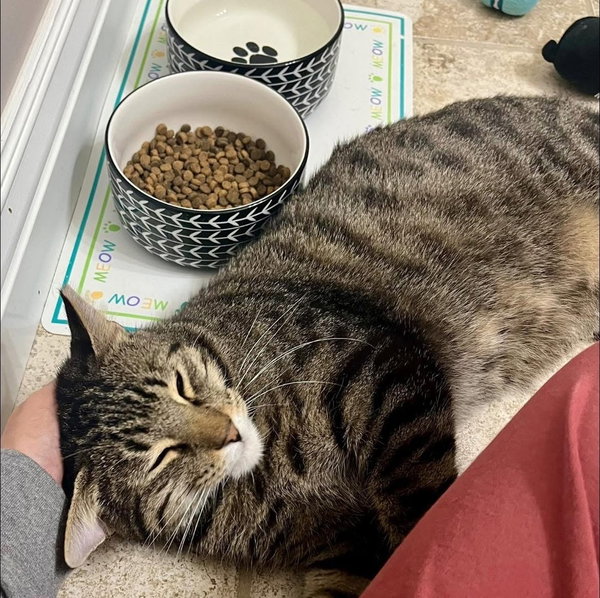 Simon