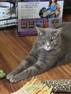 Felix - Photo 2