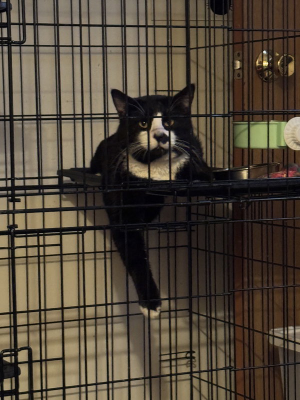 Tux