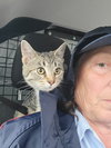 Trixie - Photo 2