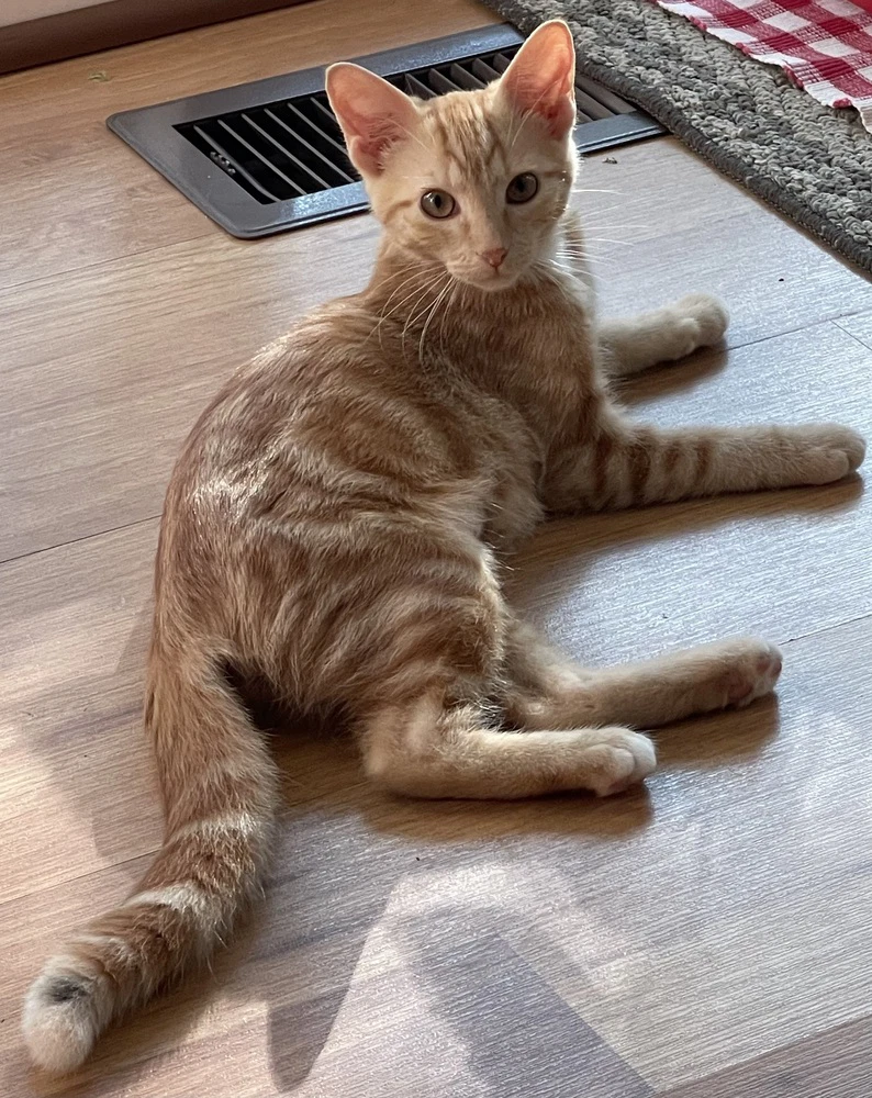 Penny Mae