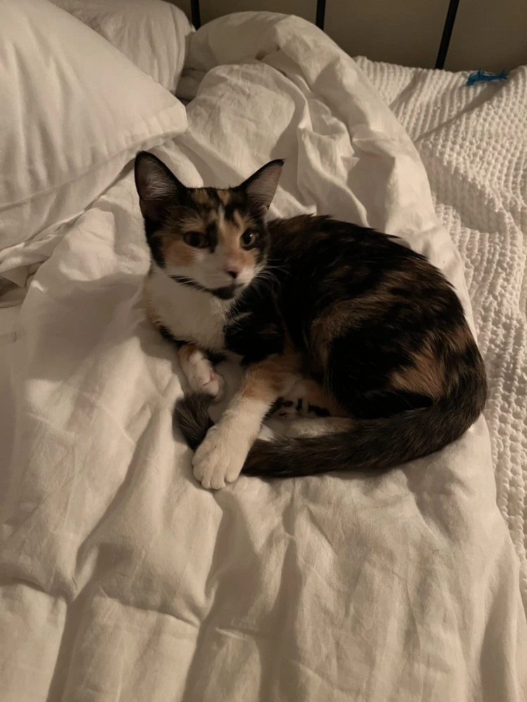 Minnie
