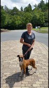 Aubie (bonded pair - see Sweetie)