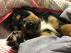 Riley