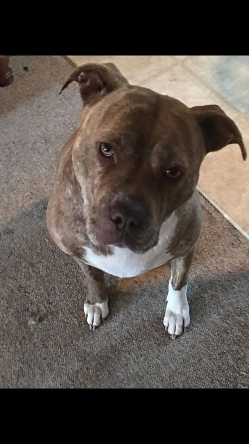 Bella