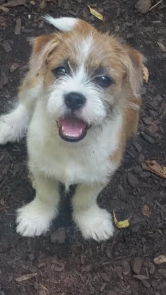 Walter