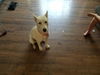 Lucy