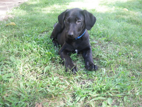 Keaton