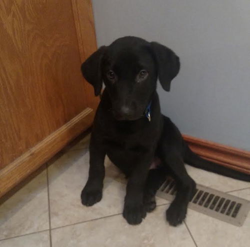 Sawyer