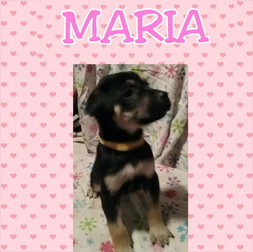 Maria