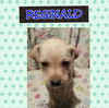 Reginald