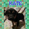 Kate