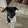 Sawyer