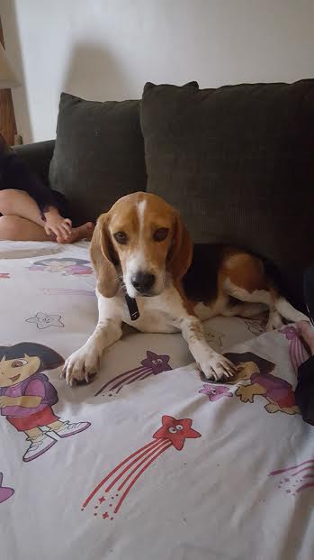 Henri