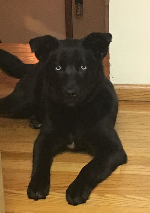 Tinker