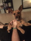 Esther