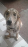 Parker