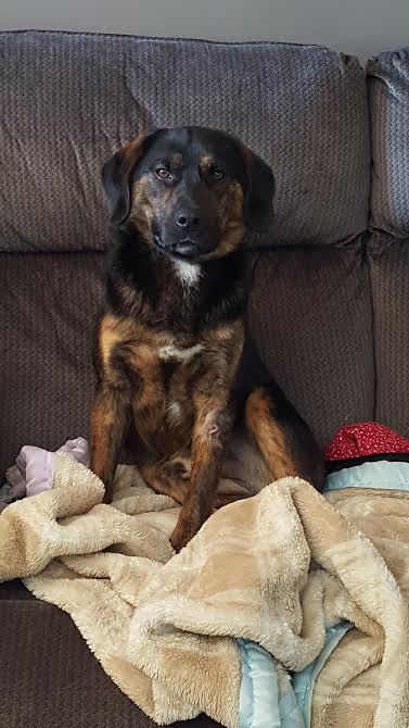 Rex