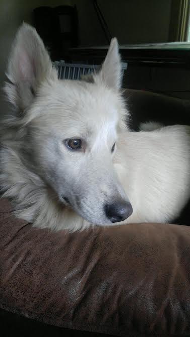 Eskimo