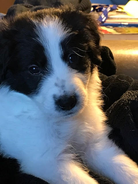 Sally