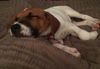Macy