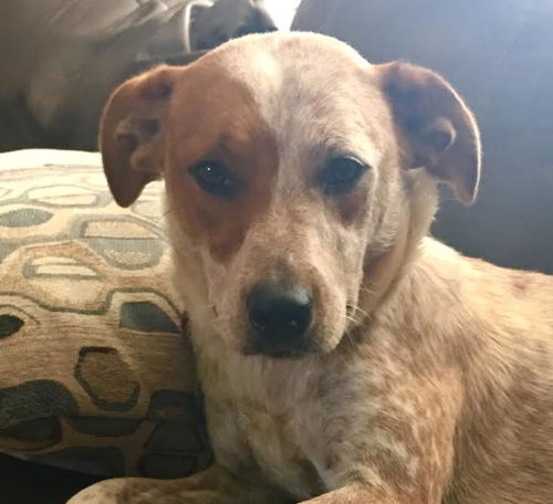 Maggie