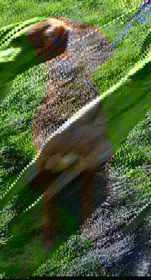 Fredrick