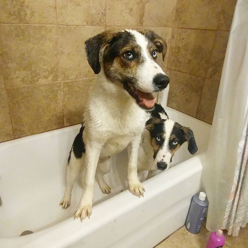 Trouble