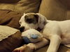 Riley