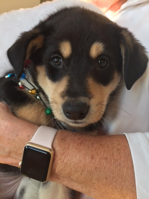 Theodore