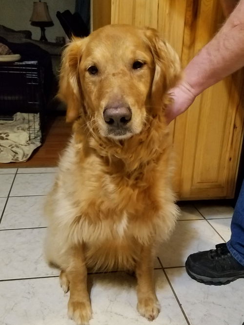 Winnie