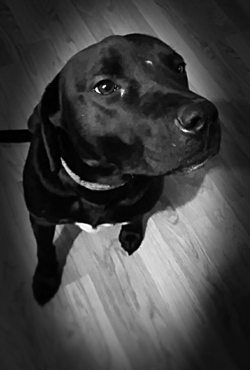 Tilly