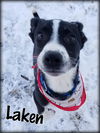 Laken