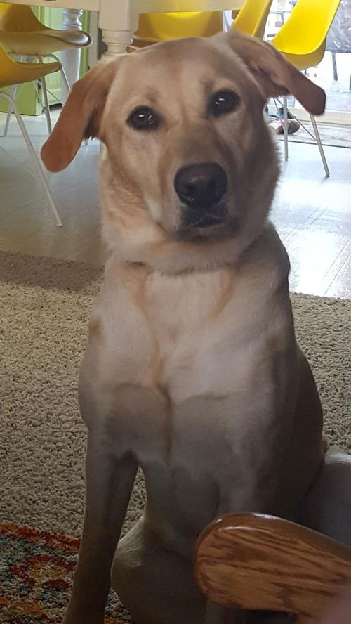 Maggie