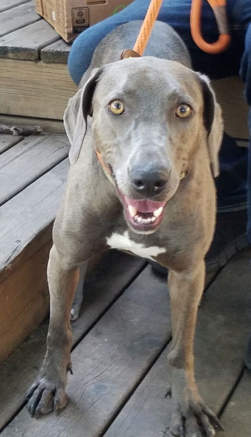 Roxy