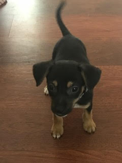 Emilio