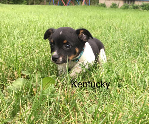 Kentucky