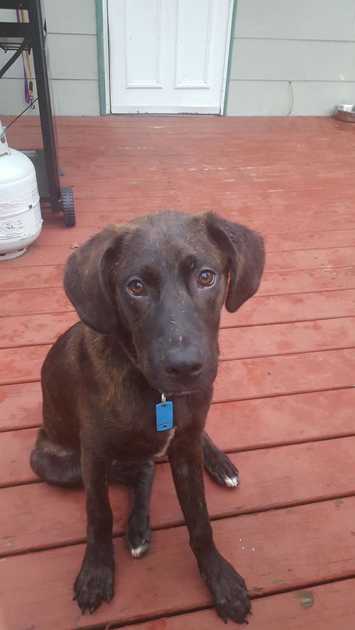 Roscoe