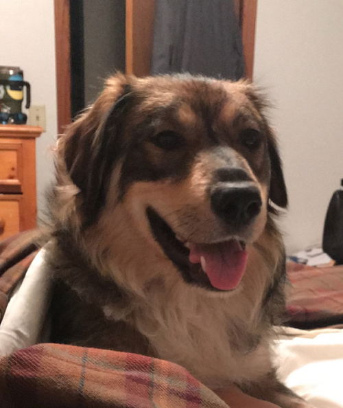 Dakota