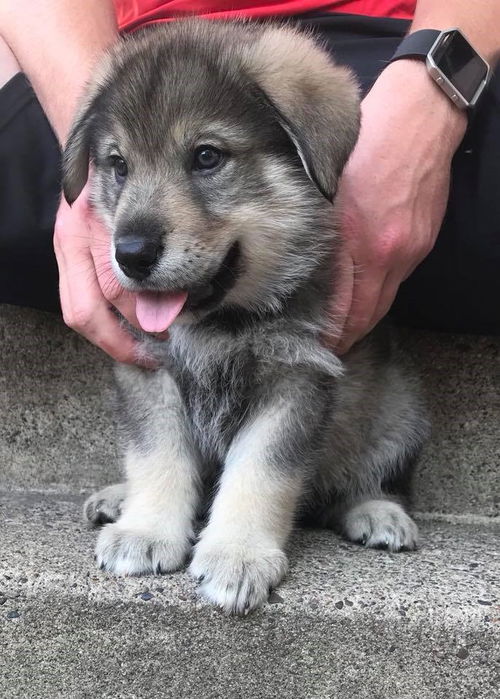 Thielen