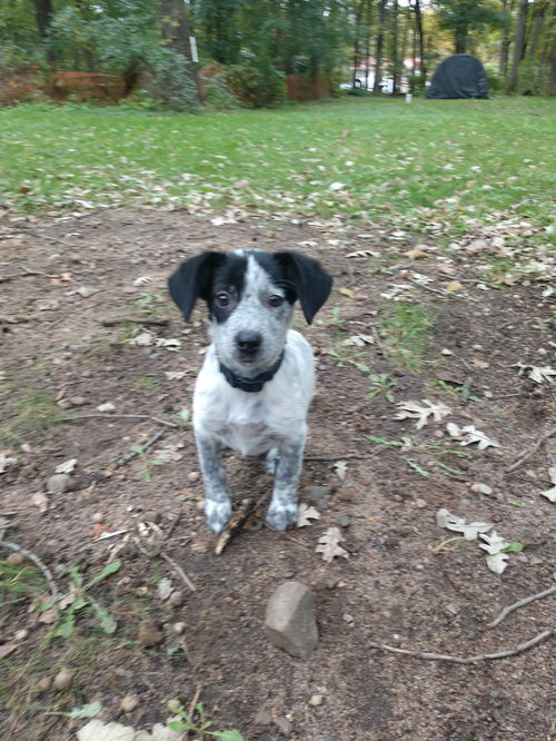 Ellie