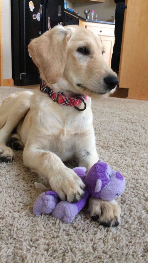 Penny