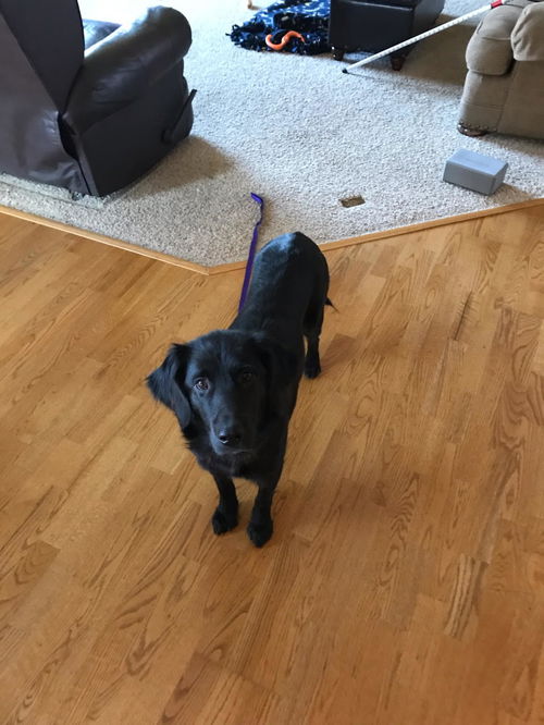 Zoe