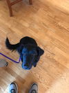 Zoe